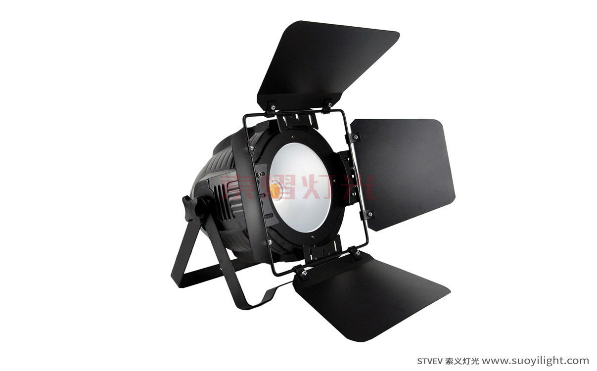 Japan200W COB LED Par Light