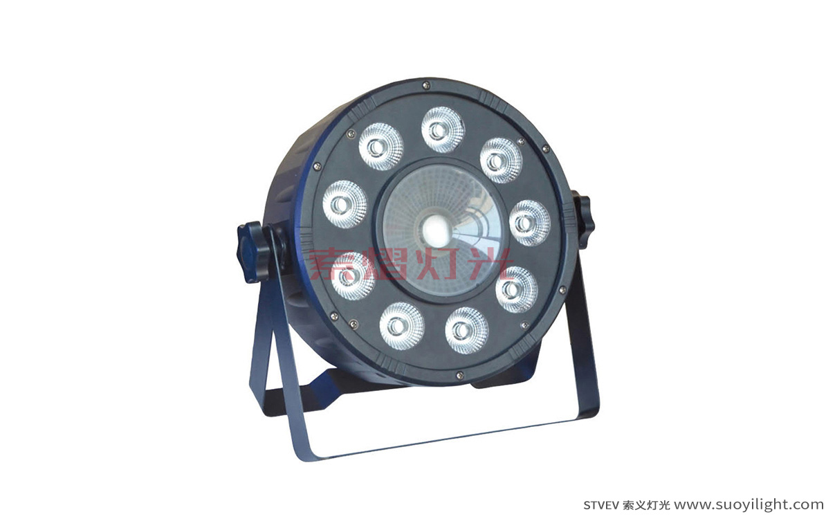 Japan9+1 LED Plastic Par Light