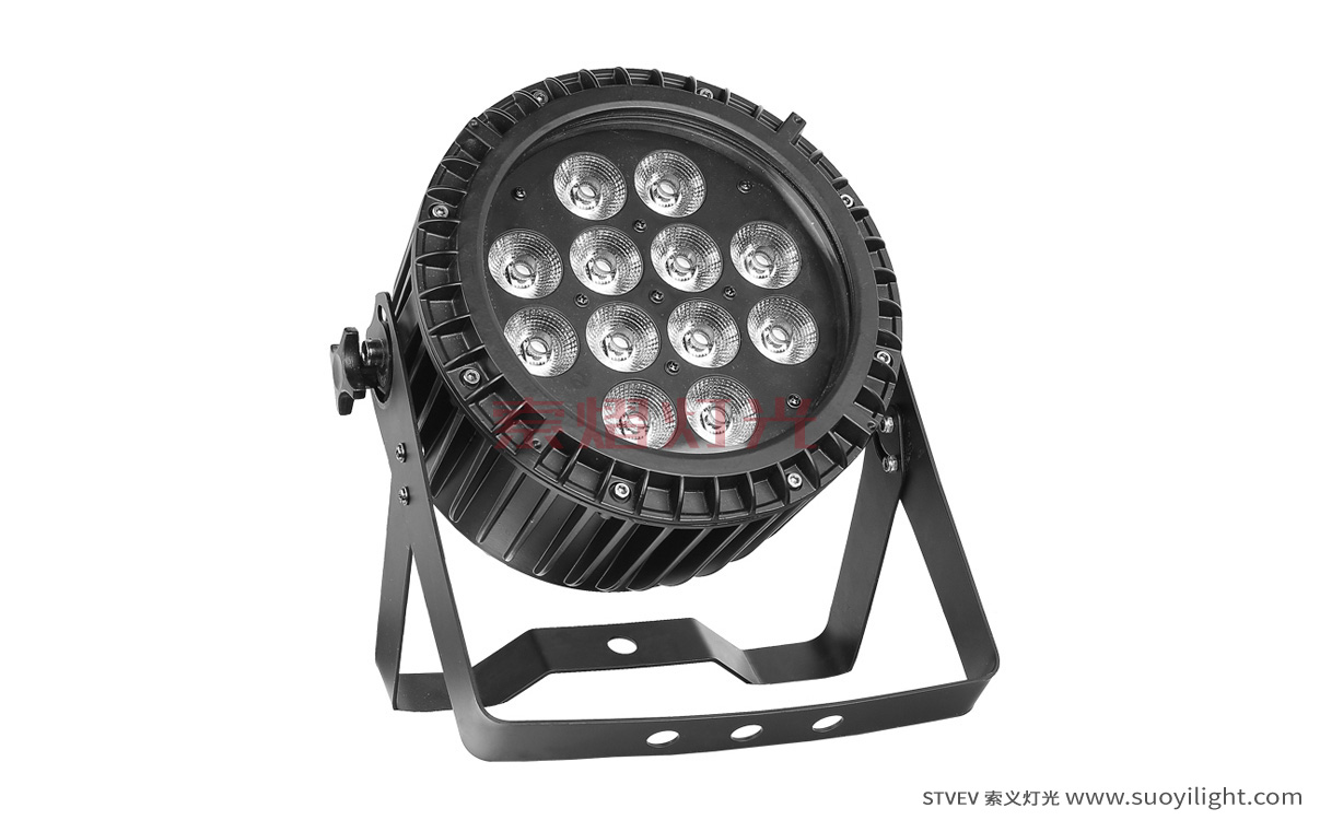 Japan12*12W 6 in 1 Waterproof LED Par Light