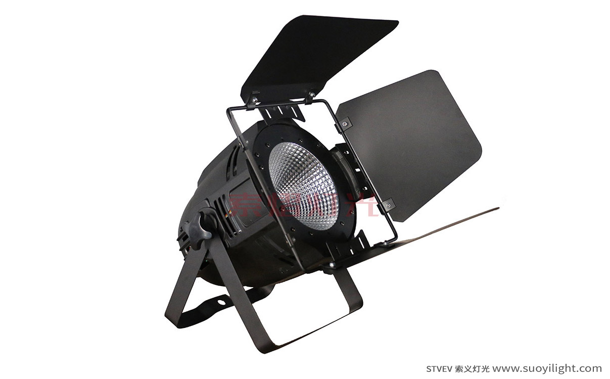 Japan100W LED COB Par Light