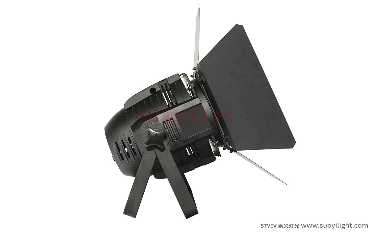 Japan100W LED COB Par Light