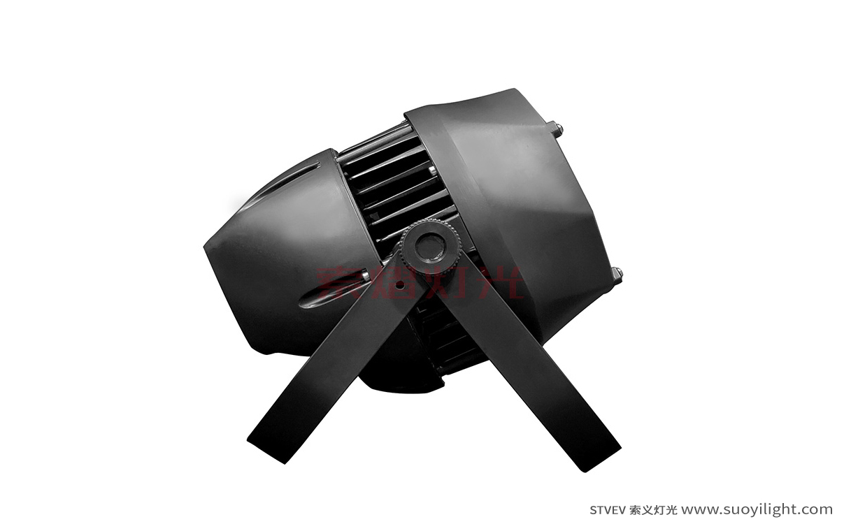 Japan200W Waterproof COB Par Light
