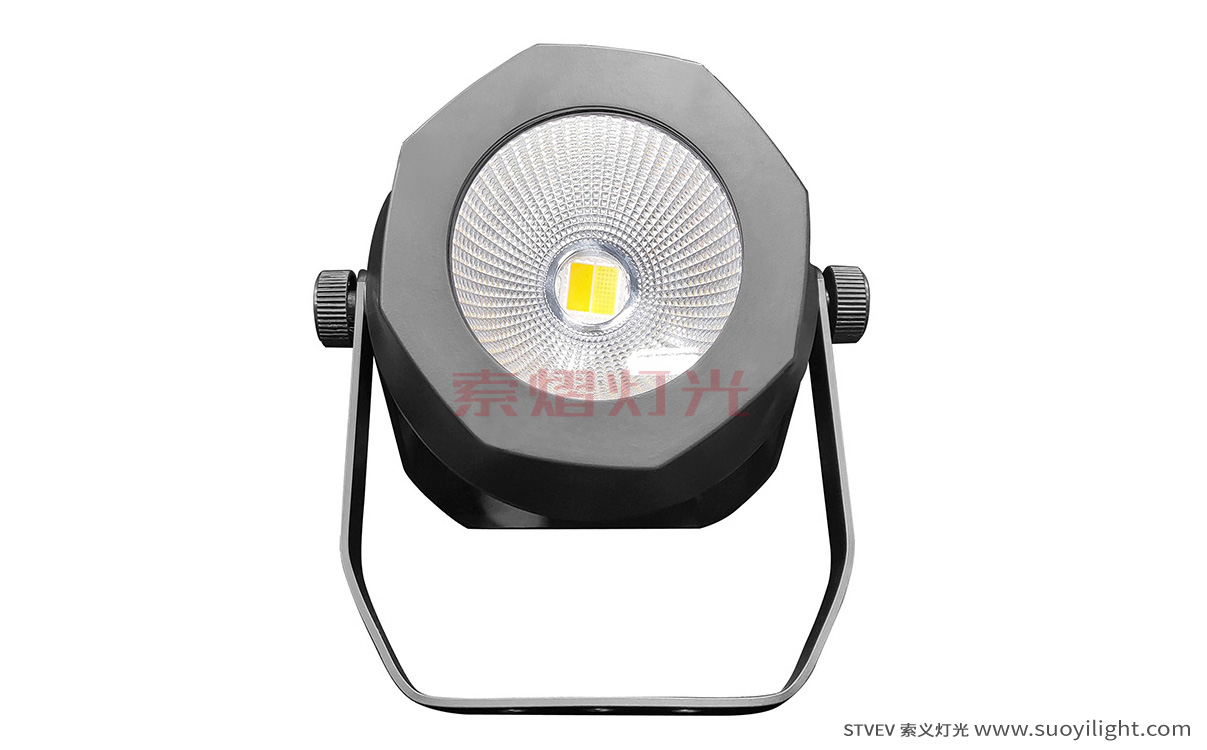 Japan200W Waterproof COB Par Light